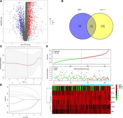 Esophageal Cancer Associated Immune Genes as Biomarkers for Predicting Outcome in Upper Gastrointestinal Tumors